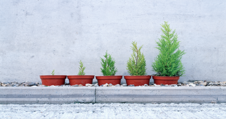 Carmignac Portfolio Grandchildren viert zijn tweede verjaardag